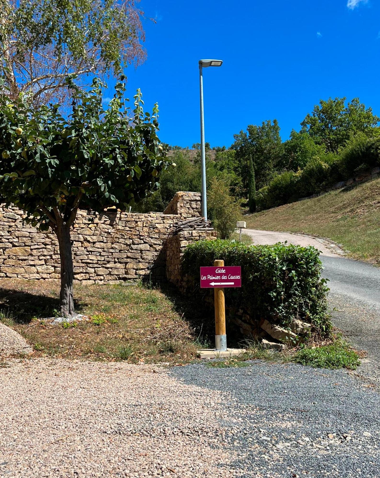 Les Palmiers Des Causses Villa Saint-Rome-de-Tarn Buitenkant foto